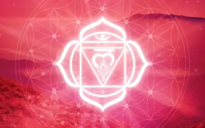 Primer chakra: la conexión esencial con la tierra